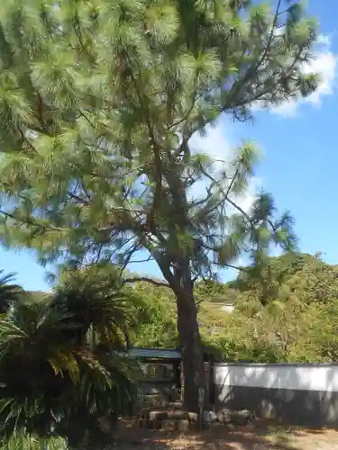 時宗総本山 遊行寺（正式：清浄光寺）の自然