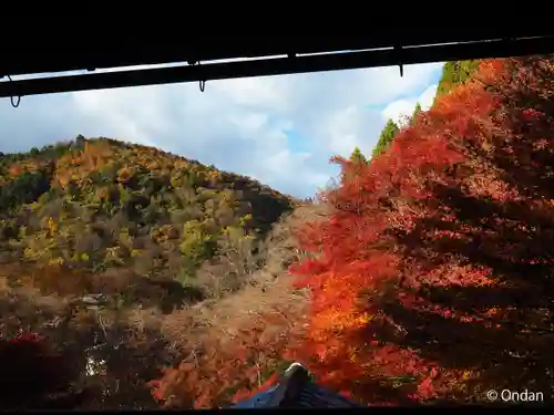 光明寺瑠璃光院(京都府)