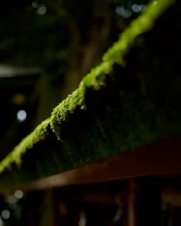 一言主神社(茨城県)