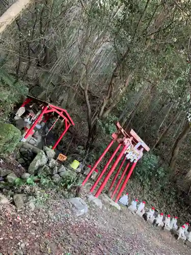 白龍神社の鳥居