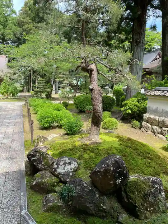 國分寺(高知県)