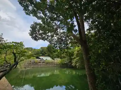 安房神社(千葉県)