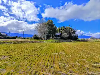 八幡社(元赤目)の自然