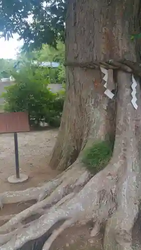 素鵞神社の庭園