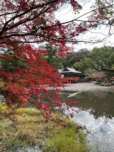 宇佐神宮の庭園