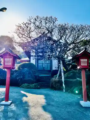 威徳院 極楽寺の{uncategorized: "未分類", other: "その他", undefined: "問題あり", building: "その他建物", grave: "お墓", sacred_gate: "鳥居", guardian: "狛犬", statue: "像", buddha: "仏像", history: "歴史", nature: "自然", garden: "庭園", animal: "動物", pagoda: "塔", temizu: "手水舎", mountain_gate: "山門・神門", sanctuary: "本殿・本堂", subordinate: "末社・摂社", art: "芸術", scenery: "景色", jizo: "地蔵", ema: "絵馬", goshuin: "御朱印", omikuji: "おみくじ", items: "授与品その他", amulet: "お守り", goshuincho: "御朱印帳", eats: "食事", festival: "お祭り", votive_dance: "神楽", shichigosan: "七五三参", wedding: "結婚式", experience: "体験その他", initially: "初詣", around: "周辺", anti_infection: "感染症対策"}