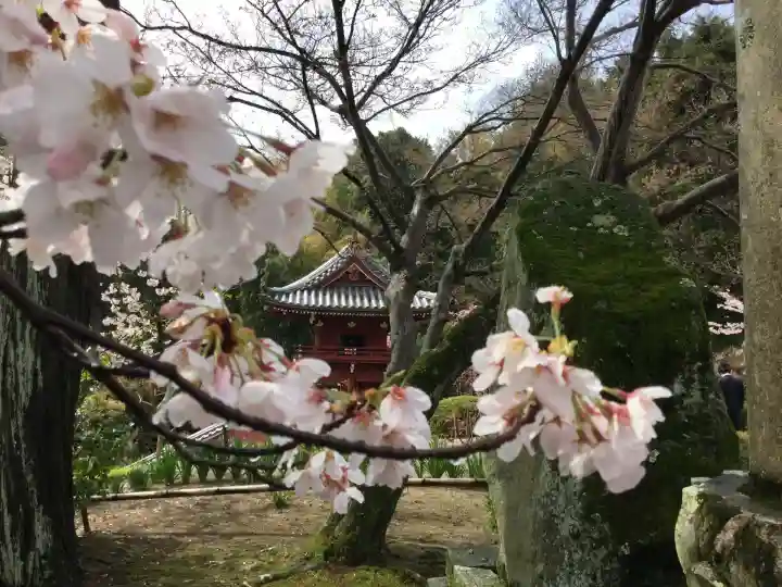 當麻寺(奈良県)