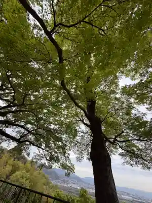 石清水八幡宮の{uncategorized: "未分類", other: "その他", undefined: "問題あり", building: "その他建物", grave: "お墓", sacred_gate: "鳥居", guardian: "狛犬", statue: "像", buddha: "仏像", history: "歴史", nature: "自然", garden: "庭園", animal: "動物", pagoda: "塔", temizu: "手水舎", mountain_gate: "山門・神門", sanctuary: "本殿・本堂", subordinate: "末社・摂社", art: "芸術", scenery: "景色", jizo: "地蔵", ema: "絵馬", goshuin: "御朱印", omikuji: "おみくじ", items: "授与品その他", amulet: "お守り", goshuincho: "御朱印帳", eats: "食事", festival: "お祭り", votive_dance: "神楽", shichigosan: "七五三参", wedding: "結婚式", experience: "体験その他", initially: "初詣", around: "周辺", anti_infection: "感染症対策"}
