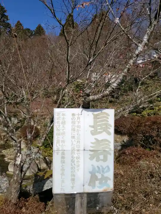 百済寺の{uncategorized: "未分類", other: "その他", undefined: "問題あり", building: "その他建物", grave: "お墓", sacred_gate: "鳥居", guardian: "狛犬", statue: "像", buddha: "仏像", history: "歴史", nature: "自然", garden: "庭園", animal: "動物", pagoda: "塔", temizu: "手水舎", mountain_gate: "山門・神門", sanctuary: "本殿・本堂", subordinate: "末社・摂社", art: "芸術", scenery: "景色", jizo: "地蔵", ema: "絵馬", goshuin: "御朱印", omikuji: "おみくじ", items: "授与品その他", amulet: "お守り", goshuincho: "御朱印帳", eats: "食事", festival: "お祭り", votive_dance: "神楽", shichigosan: "七五三参", wedding: "結婚式", experience: "体験その他", initially: "初詣", around: "周辺", anti_infection: "感染症対策"}