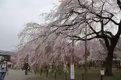 清雲寺の自然