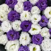 鹿島台神社の手水舎