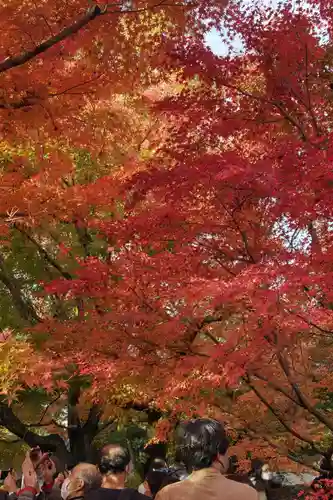 東福禅寺（東福寺）(京都府)