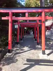 亀ケ池八幡宮(神奈川県)