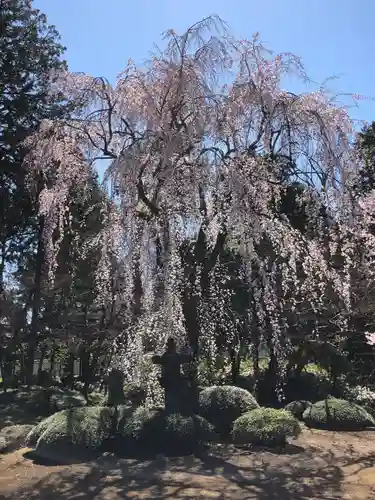 喜多院の庭園