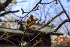 高砂神社の自然