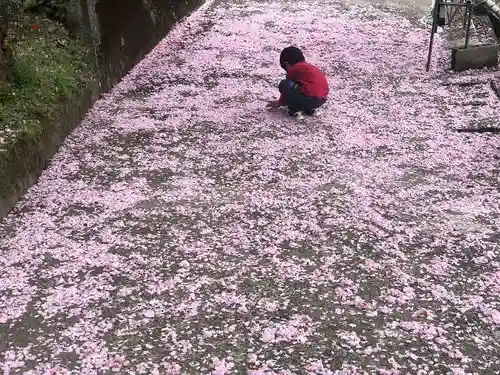 木舟山　順教寺(広島県)