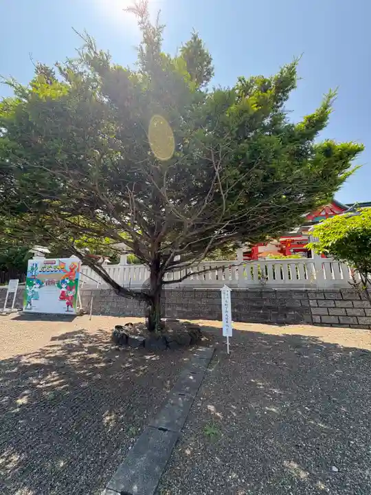 樽前山神社(北海道)