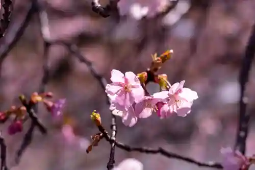 水神(長野県)