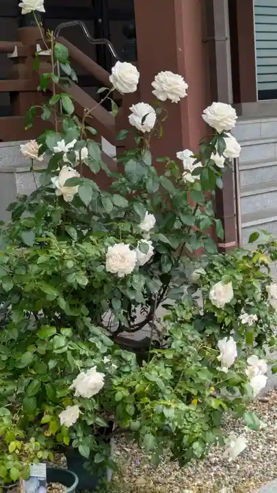 専念寺(大阪府)