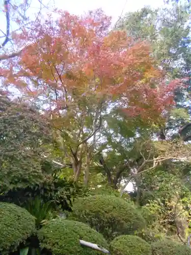 報国寺の庭園