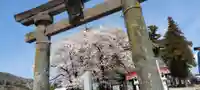 武田廣神社の鳥居