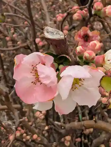 寳生院(東京都)