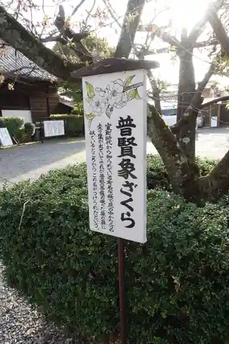 大報恩寺（千本釈迦堂）(京都府)