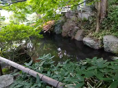 崇禅寺の手水