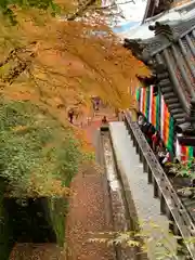 禅林寺（永観堂）(京都府)