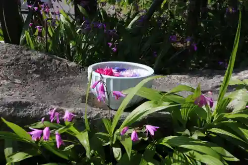 開成山大神宮の手水舎