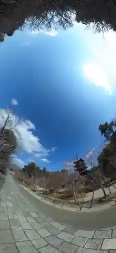 仁和寺(京都府)