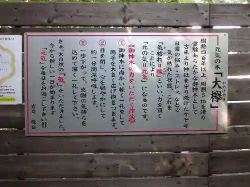 鎮守氷川神社の歴史