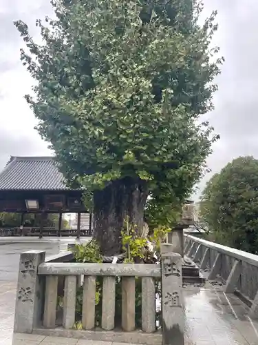 石清尾八幡宮(香川県)