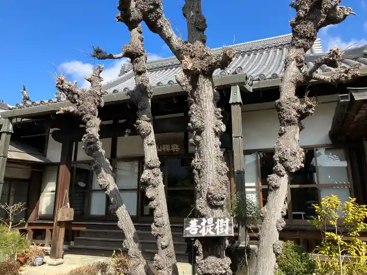 圓通寺(兵庫県)