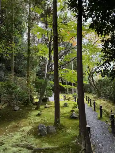 桂春院(京都府)