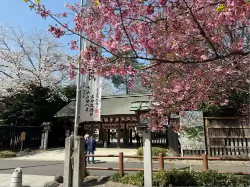 櫻木神社(千葉県)