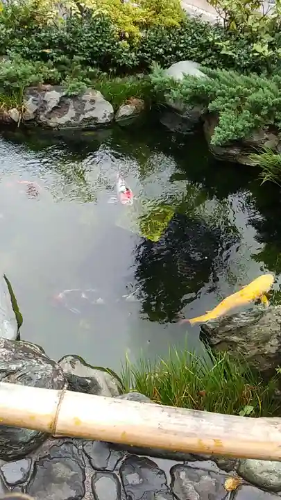蛇窪神社の庭園