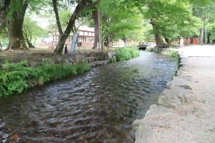 賀茂別雷神社(上賀茂神社)(京都府)
