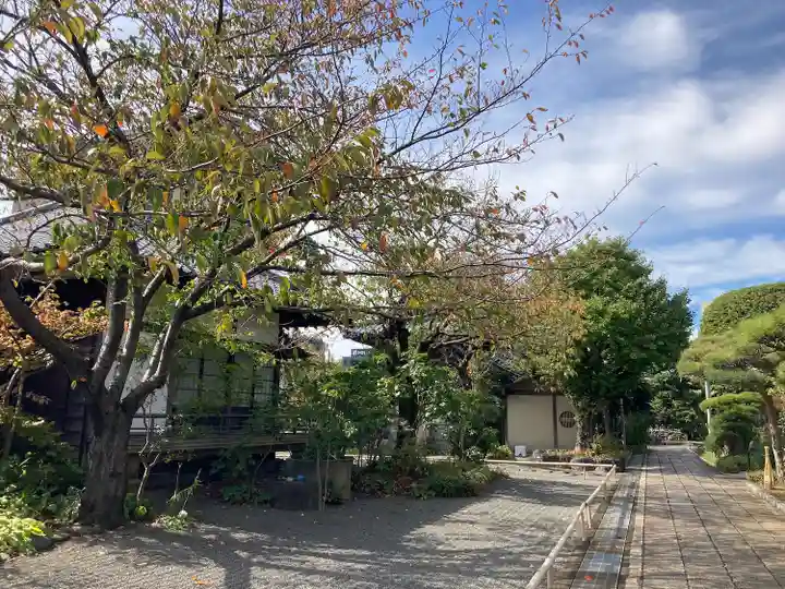 蓮光寺のその他建物