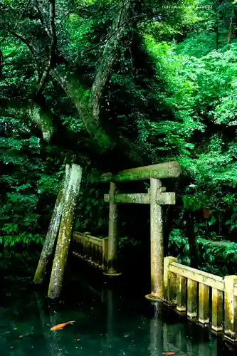 鹿島神宮(茨城県)
