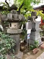 秋葉神社の狛犬