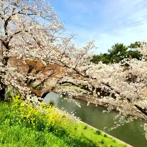 龍城神社(愛知県)