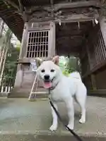 彦嶽宮の御朱印