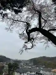 浅間神社(東京都)