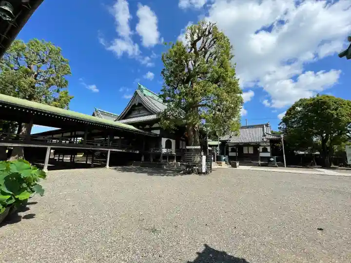 題経寺(柴又帝釈天)(東京都)