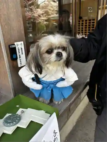 佐久奈度神社(滋賀県)