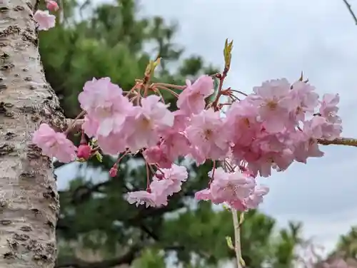 正法寺(京都府)