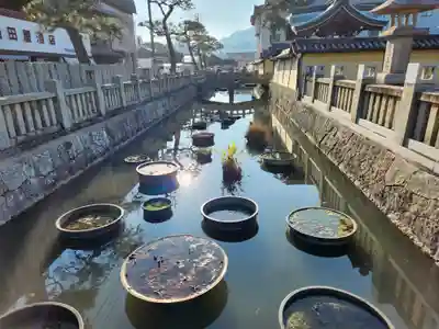 善通寺のその他建物