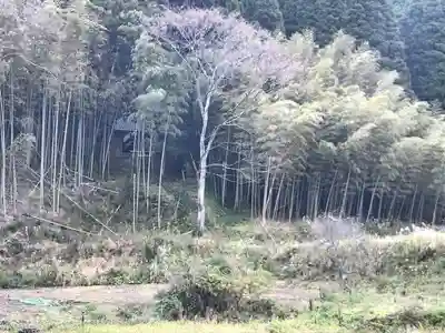 天照神社の周辺