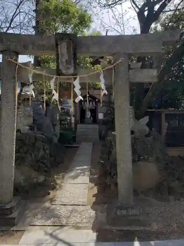 松戸神社の鳥居